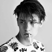 姓氏叶子微信头像(17)