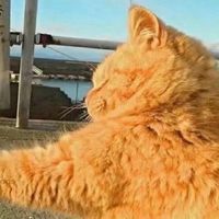 剑三矮子花羊情侣头像(13)