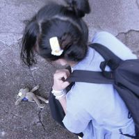 微博全是女生头像(20)