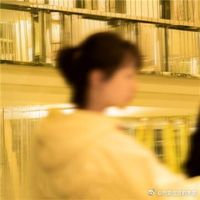 情侣情侣头像两张(16)