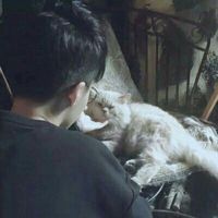 300300的qq头像男生(7)