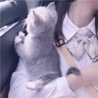 黑白女生照片qq头像女生头像大全(5)