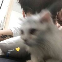 男生带气球头像(18)