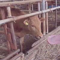 QQ带公式字母情侣头像(10)