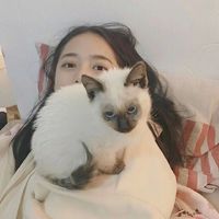 微信头像用企鹅好不好(2)