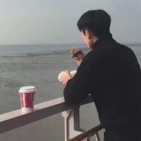 微信头像梧桐树(13)
