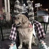 qq男生手机遮脸头像2020(6)