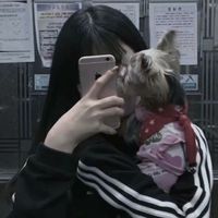 吉祥的微信头像(17)