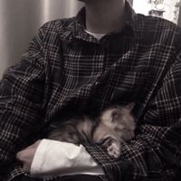 二次元男生头像帅气图片高冷(18)