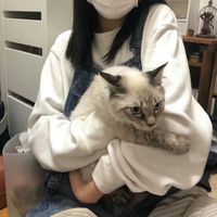 好看唯美风景微信头像图片大全集(17)