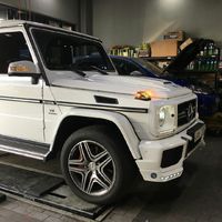 微信情侣头像猫咪欧美(14)