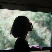 微信头像猫写实动画(20)