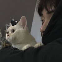 搞笑快手头像男生(6)