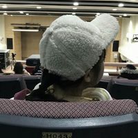 2018好运健康微信头像(13)