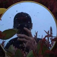 微信不是好友可以看头像更新(20)