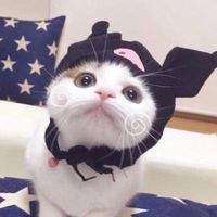 情侣头像人1080p(8)