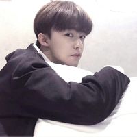 男生和拉布拉多头像