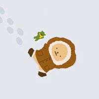 用明星的头像做微信头像是合法吗(8)
