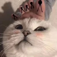 优美的情侣网名女生头像(17)