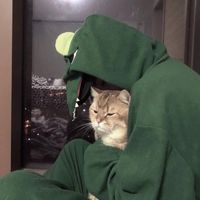 小提琴与鲜花微信头像(17)