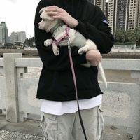 男生灿烂的笑头像(2)
