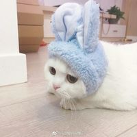 第五人格杰佣情侣头像高清(19)