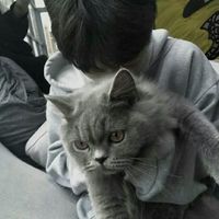 喜欢动画的男生头像大全(2)