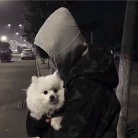 男生qq头像无脸(19)