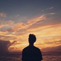 男生v信动物头像(8)