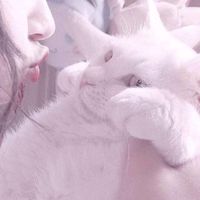 微信头像是头超人猪(10)