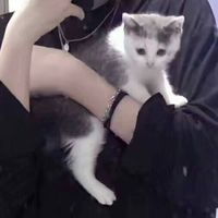 qq头像情侣网红(17)
