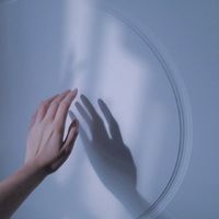 关于杨字的微信头像(6)