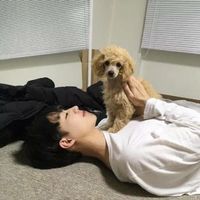 单身很酷的头像男生(12)