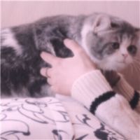 男女接吻好看情侣头像(15)
