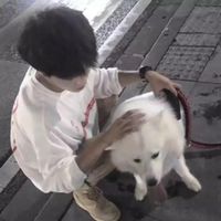 微信头像擎天柱卡车(15)