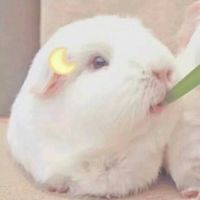 抱狗狗的可爱情侣头像图片(8)