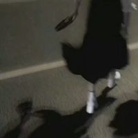 微信代表头像什么意思(7)