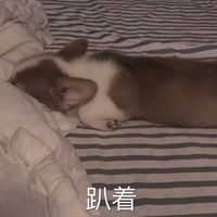 日本女生头像伤感图片(7)