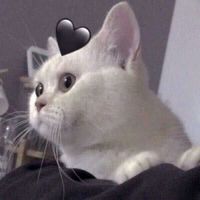 魏无羡蓝湛情侣头像红衣(20)