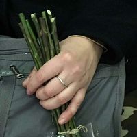 手举足球男生正面头像图片手拿(18)