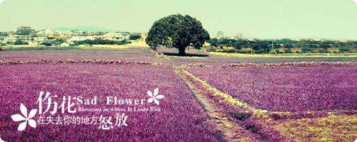 ˼ͼƬһӼס(3)_WWW.AIGEXING.COM