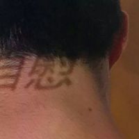 看鸽子男生头像(3)