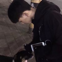 微信男生明星头像大全(8)