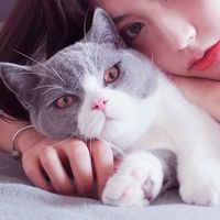 最萌猫咪情侣头像(20)