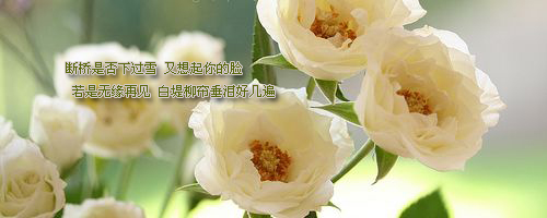 ɰŮÿǩͼƬԼ·ֻ(26)_WWW.AIGEXING.COM