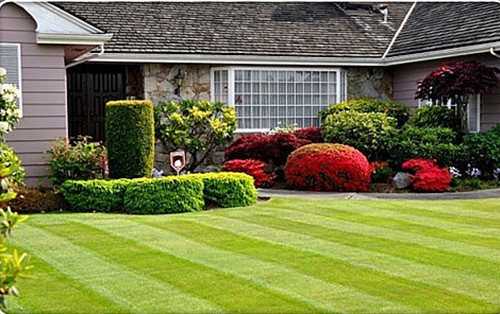 青幕网名