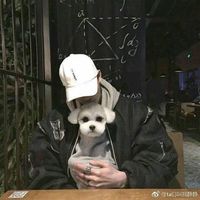 可爱男生头像小孩头像