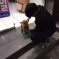 qq头像男生奔跑背影伤感(4)