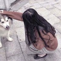 微信海贼王头像图片大全图片(5)