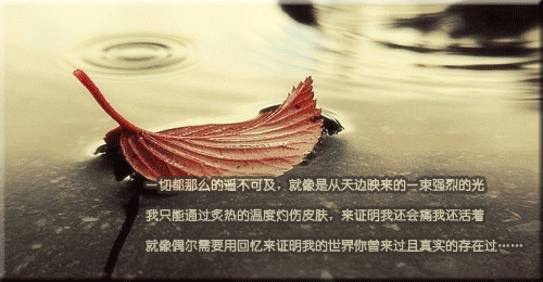 Ψ˸ǩͼƬ¶ȥһθ(4)_WWW.AIGEXING.COM